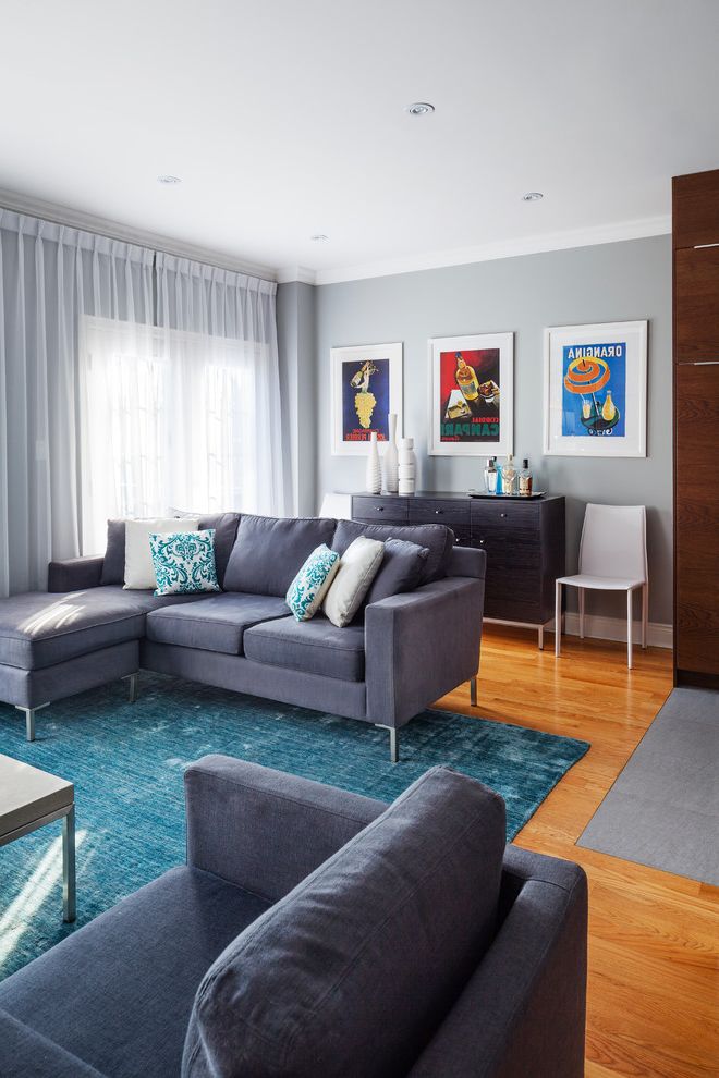 Sisal Rugs Lowes with Transitional Living Room Chrome