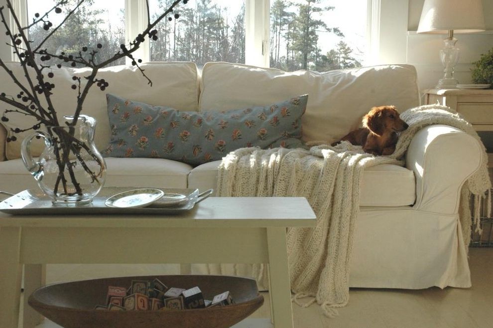 Twin Sleeper Sofa Ikea with Eclectic Living Room Farmhouse
