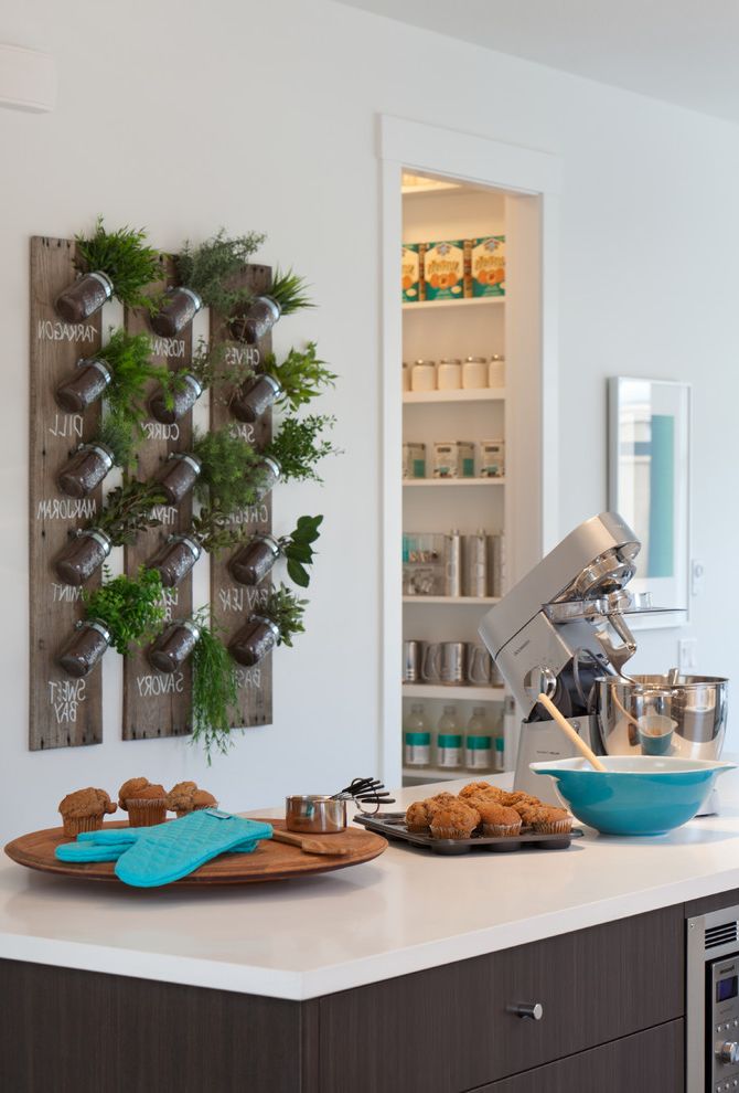 Wayfair Credit Card with Contemporary Kitchen Dark Wood