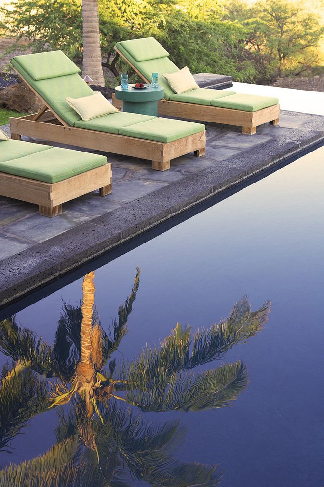 Costco Lounge Chairs Tropical Pool with Palm Trees