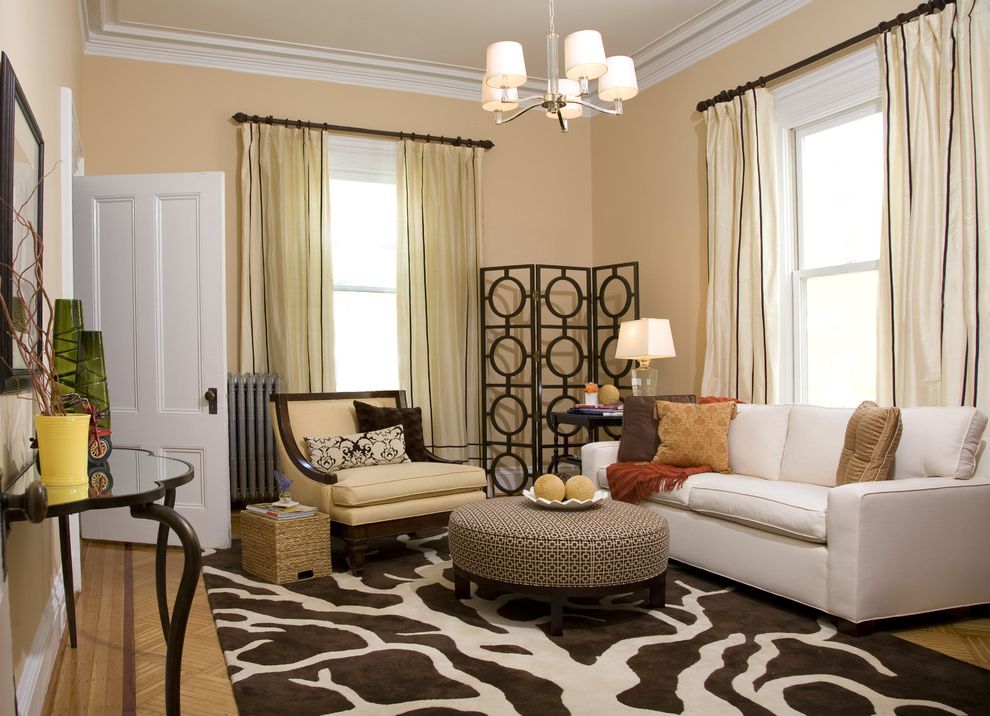 Extra Deep Couches Living Room Furniture Transitional Living Room with Decorative Pillows