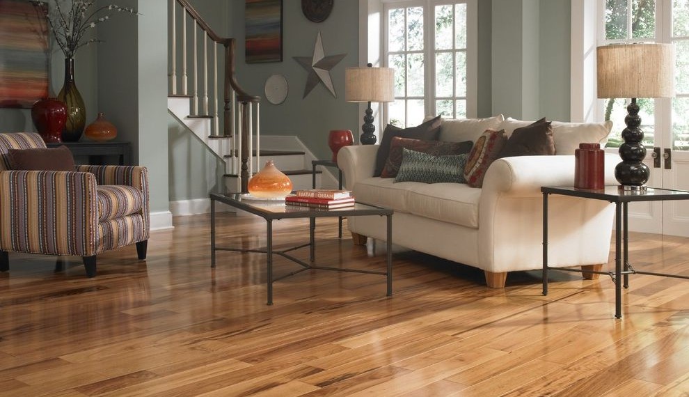 Bellawood Flooring Contemporary Living Room with Open Flooring