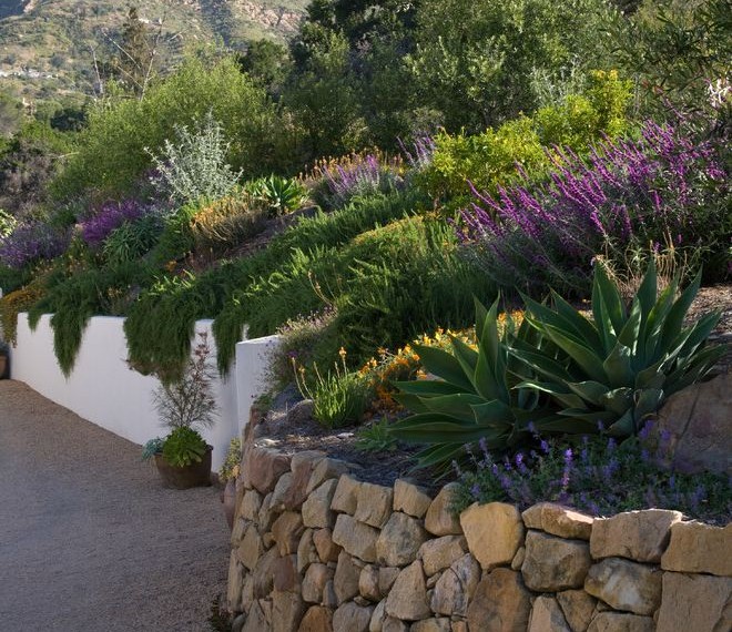 Beneficial Insects Mediterranean Landscape with Rock Wall