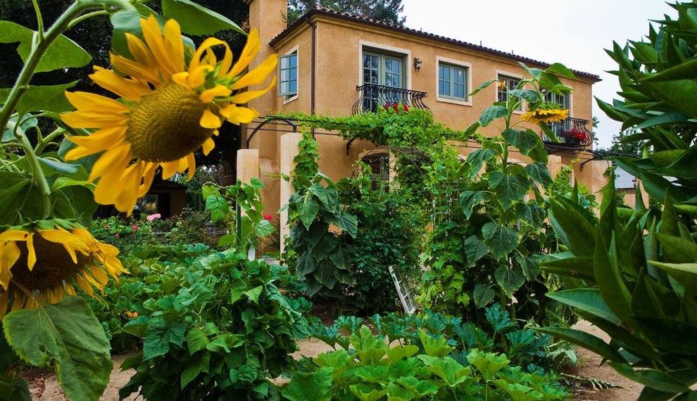 Beneficial Insects Mediterranean Spaces with Chimney