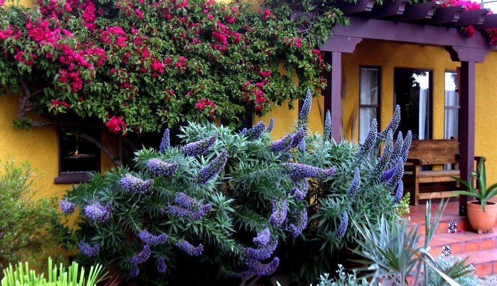 Dropcam Pro Mediterranean Landscape with Porch
