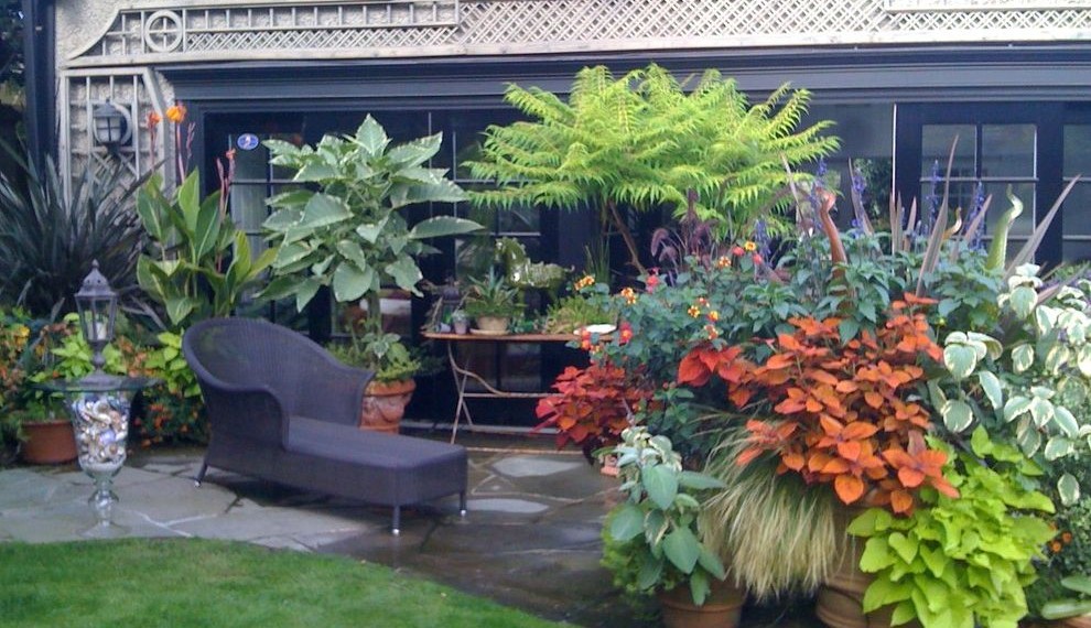 Dropcam Pro Tropical Landscape with Pots and Planters