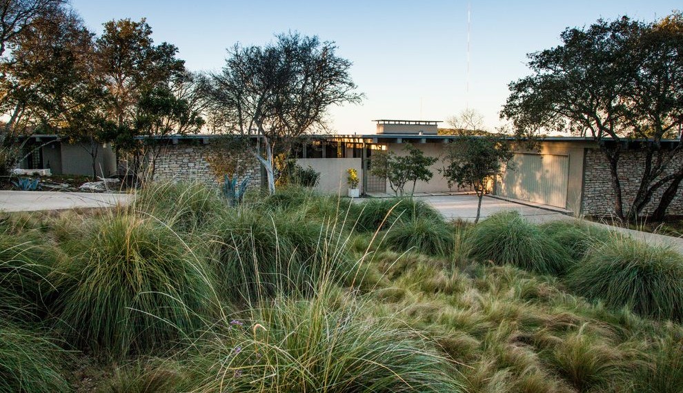 Drought Tolerant Grasses Midcentury Landscape with Front Yard
