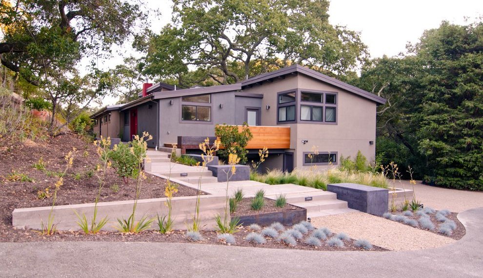 Drought Tolerant Grasses Modern Landscape with Bark Ground Cover