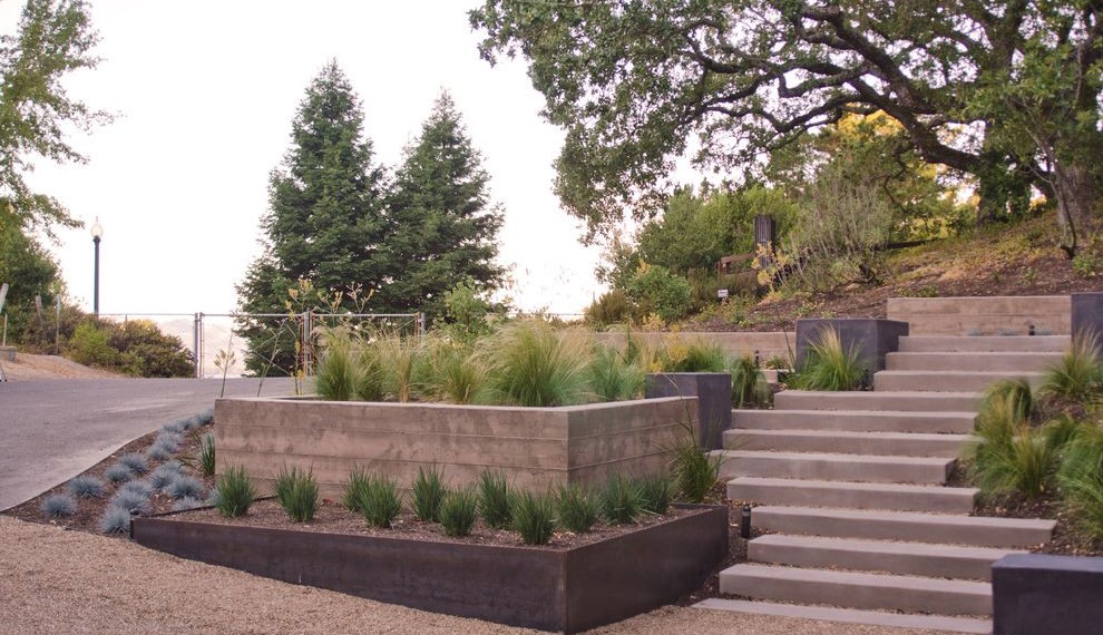 Drought Tolerant Grasses Modern Landscape with Multi Level Retaining Wall