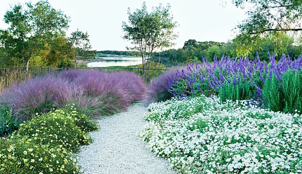 Drought Tolerant Grasses Rustic Landscape with Water View