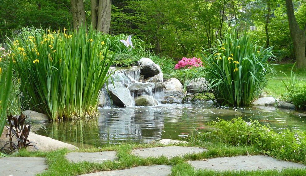 Dupont Water Filter Eclectic Landscape with Aquatic Garden