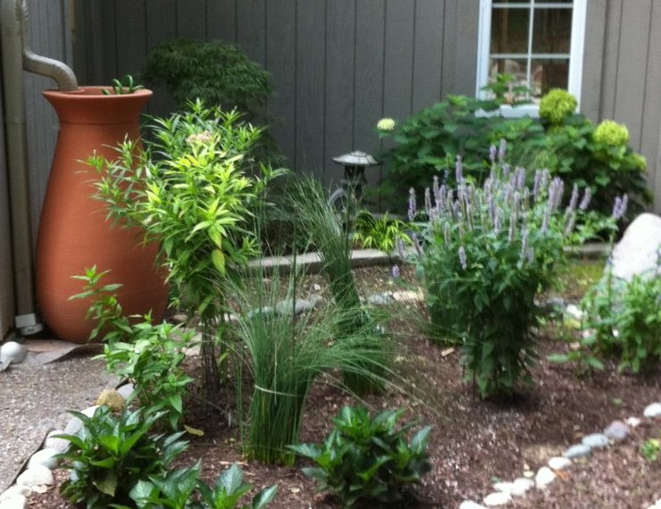 Dupont Water Filter Traditional Landscape with Drainage Issues