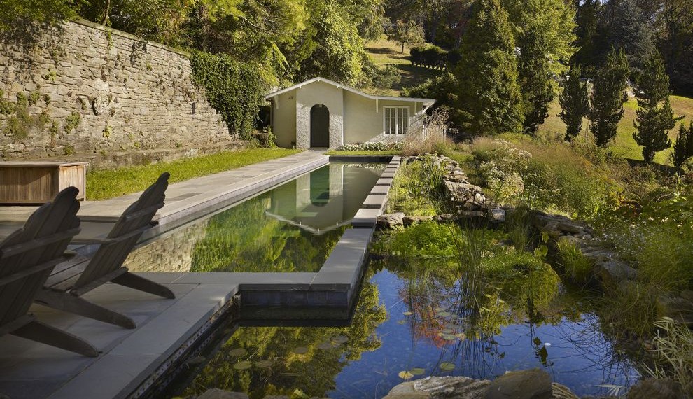 Dupont Water Filter Traditional Pool with Natural Pool