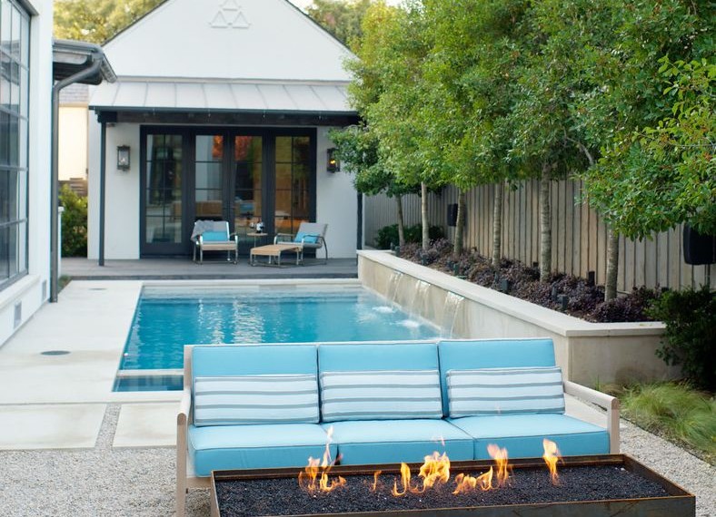 Fig Trees for Sale Contemporary Patio with Steel Fire Pit