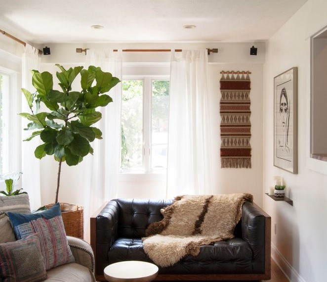 Fig Trees for Sale Eclectic Family Room with White Den