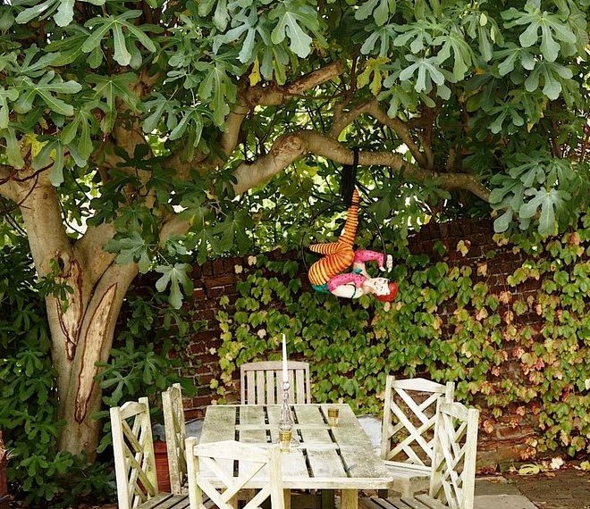 Fig Trees for Sale Traditional Patio with Table