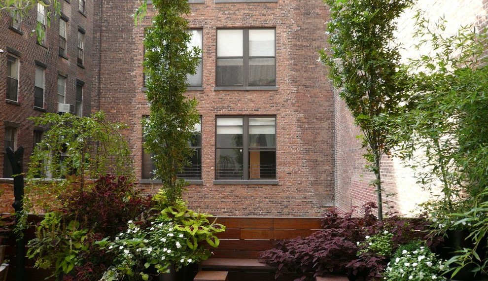 Fruit Tree Fertilizer Contemporary Patio with New York Landscaper