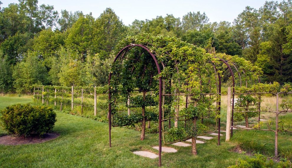 Fruit Tree Fertilizer Traditional Landscape with Fence