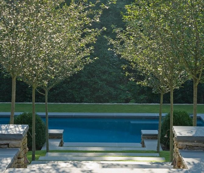 Fruit Tree Fertilizer Traditional Pool with Japanese Maple
