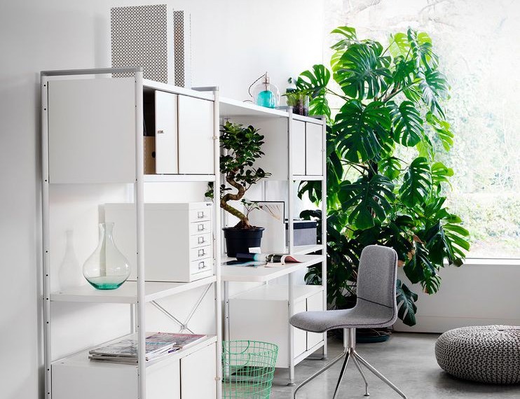 Good Office Plants Scandinavian Home Office with Home Office