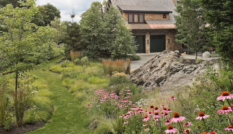 Good Office Plants Traditional Landscape with Grass Path