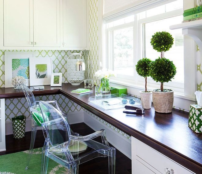 Good Office Plants Transitional Home Office with Area Rug