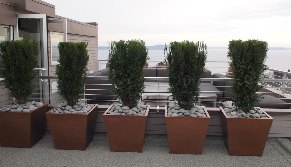 How to Fix Leaking Pvc Pipe Joint Contemporary Patio with Contemporary