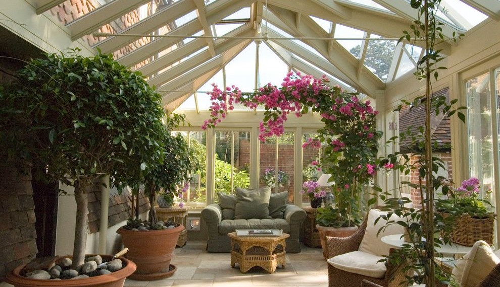 Indoor Wicker Rocking Chair Traditional Sunroom with Potted Trees