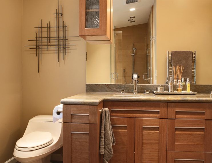 Kohler Toilet Flapper Contemporary Bathroom with Yellow Walls
