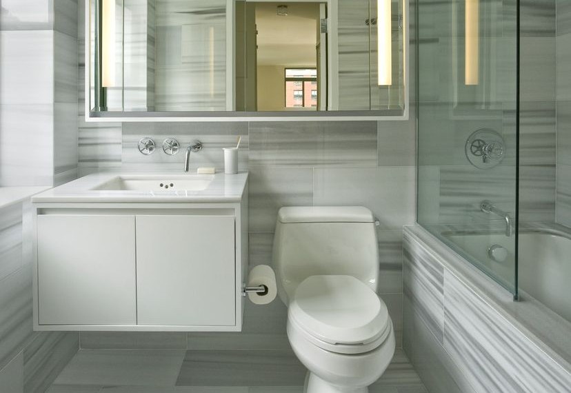 Kohler Toilet Flapper Transitional Bathroom with Glass Partition