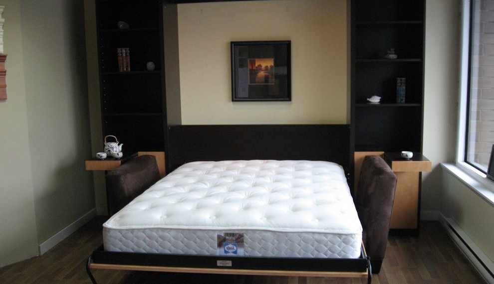 Murphy Bed Kit Contemporary Home Theater with Contemporary