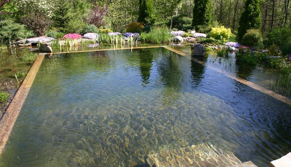 Nikken Water Filter Traditional Pool with Pools