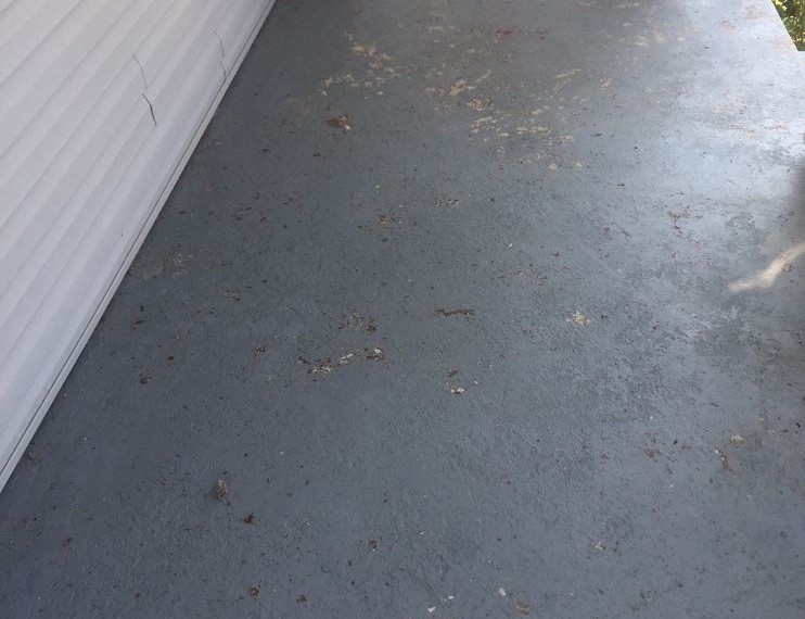 Northstar Pressure Washer Traditional Spaces with Pressurewashing