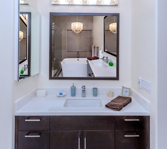 Pegasus Medicine Cabinet Transitional Bathroom with Transitional