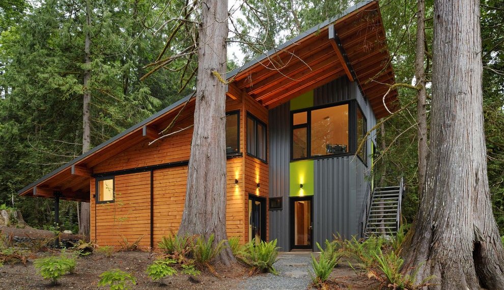 Shelterlogic Shed in a Box Contemporary Exterior with Pavers
