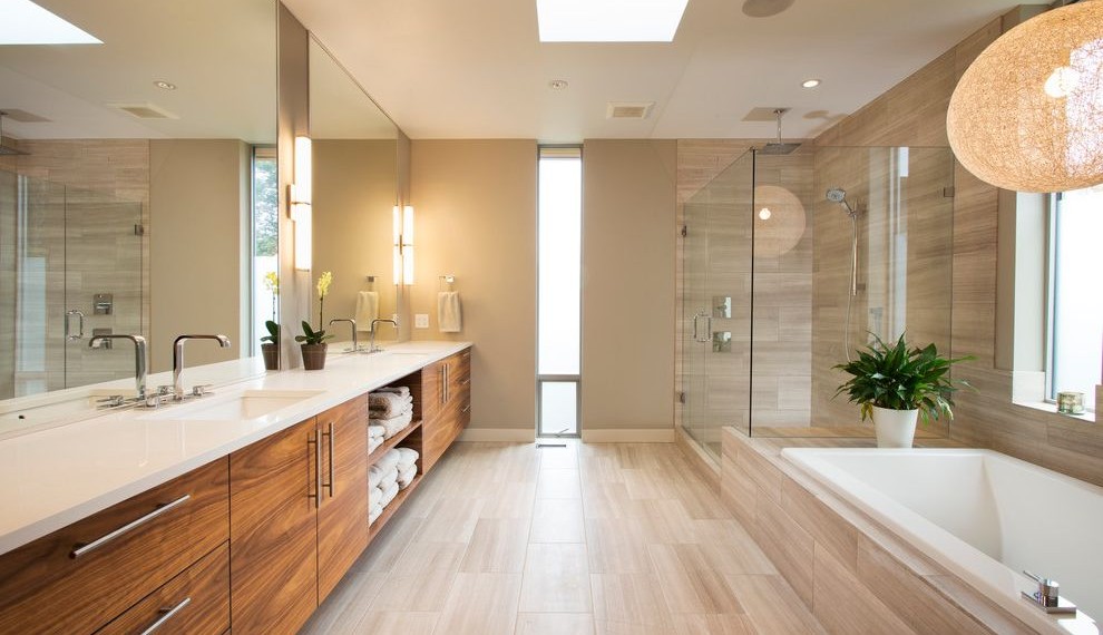Watch Full Episodes Online Free Contemporary Bathroom with Pendant Light