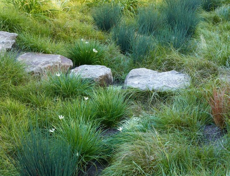Whirlpool Water Filter Craftsman Landscape with Bicycle Path