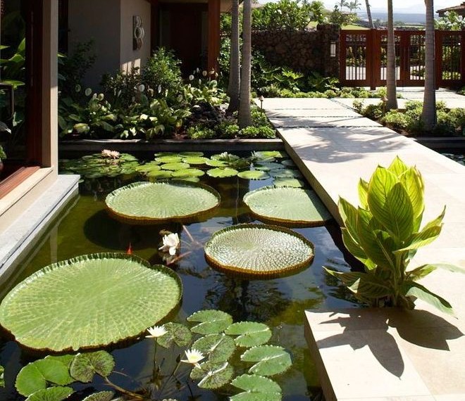 Whirlpool Water Filter Tropical Landscape with Lily Pad