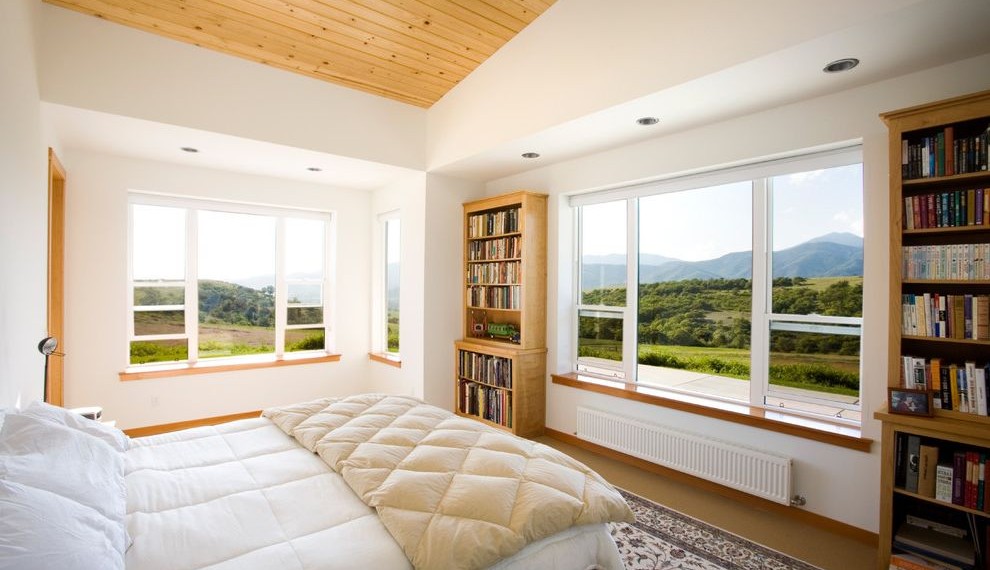 Window Toppers Contemporary Bedroom with Double Hung Windows